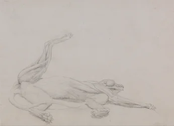 Vergleichende anatomische Darstellung der Struktur des menschlichen Körpers mit der eines Tigers und einer Kuh